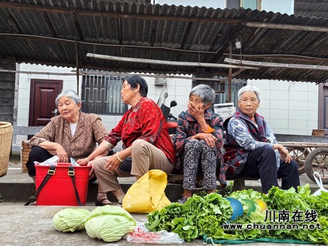 蔺州大地绿意盎然
