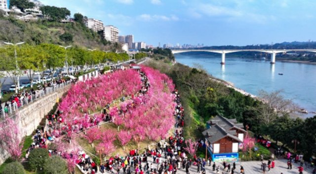 泸州这些绝美的江景,从一条鱼开始!(图12) 没错,这里是泸州