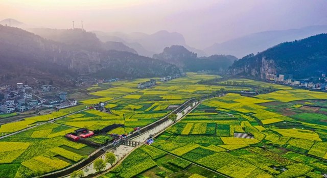 七部门联合发文