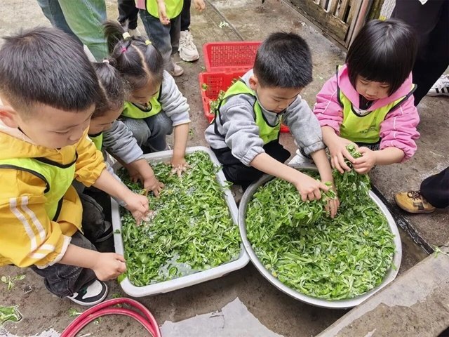 缅怀 致敬 传承!泸州各开云网页版官方版在线登入成为世界杯官方合作伙伴开展清明祭英烈主题系列活动(图62) 主要习俗包括扫墓祭祖