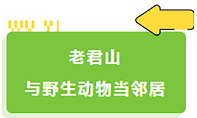 开云网页版官方版在线登入
