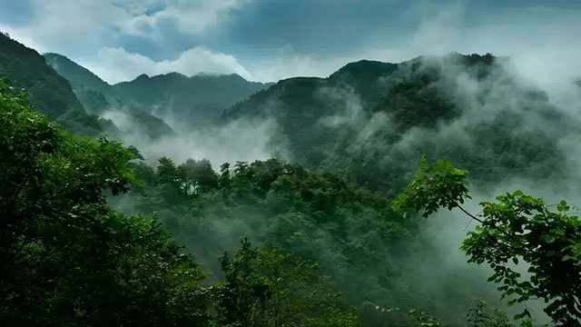 玩味川南在线 公布时间