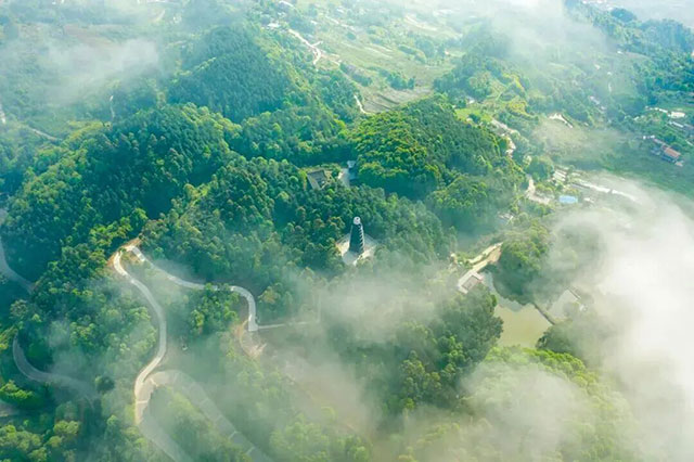 往山里跑