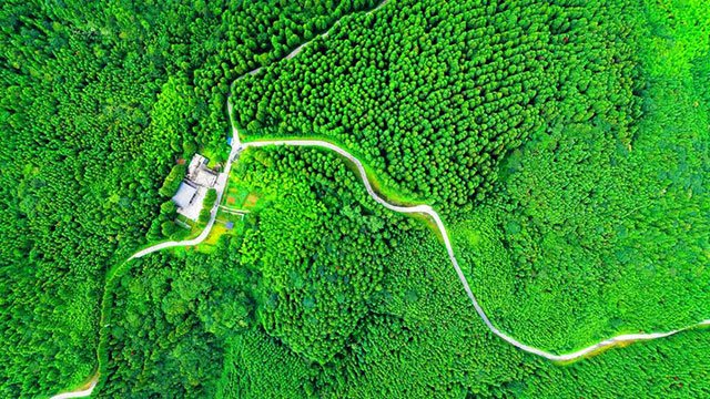 同类内容今年的主题是“厚植中国式现代