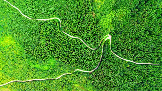 古蔺县秉持绿水青山就是金山银山的理念