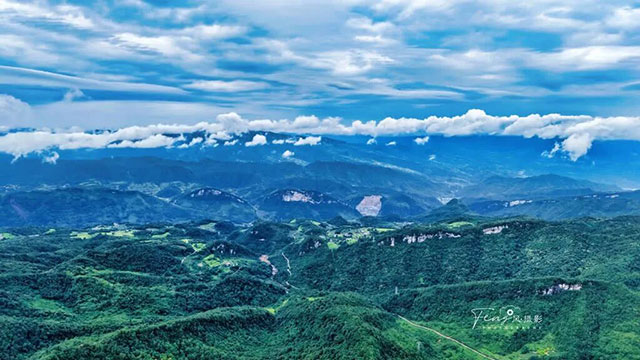 蔺州大地绿意盎然