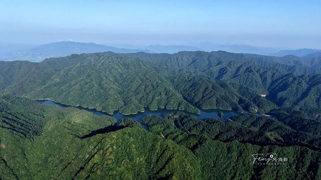 勃勃生机
