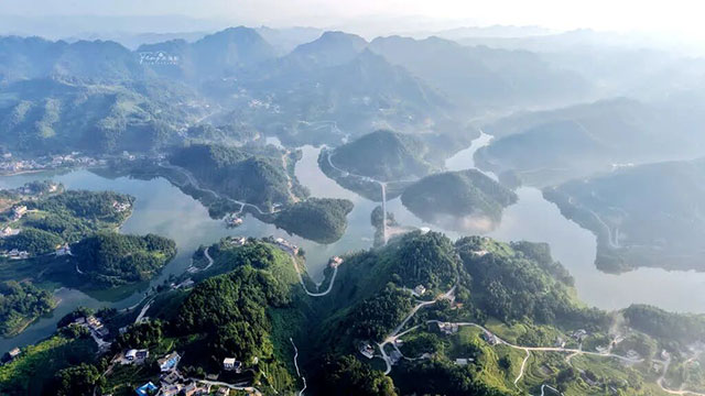 蔺州大地绿意盎然