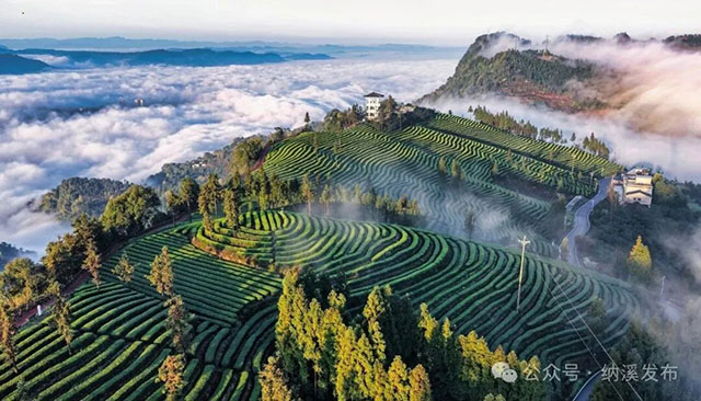 行摄川南在线 发布时间