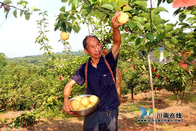 诉说心中无尽感恩