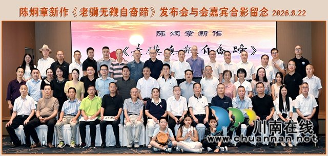 2011年出版文学作品《甘为红烛写春
